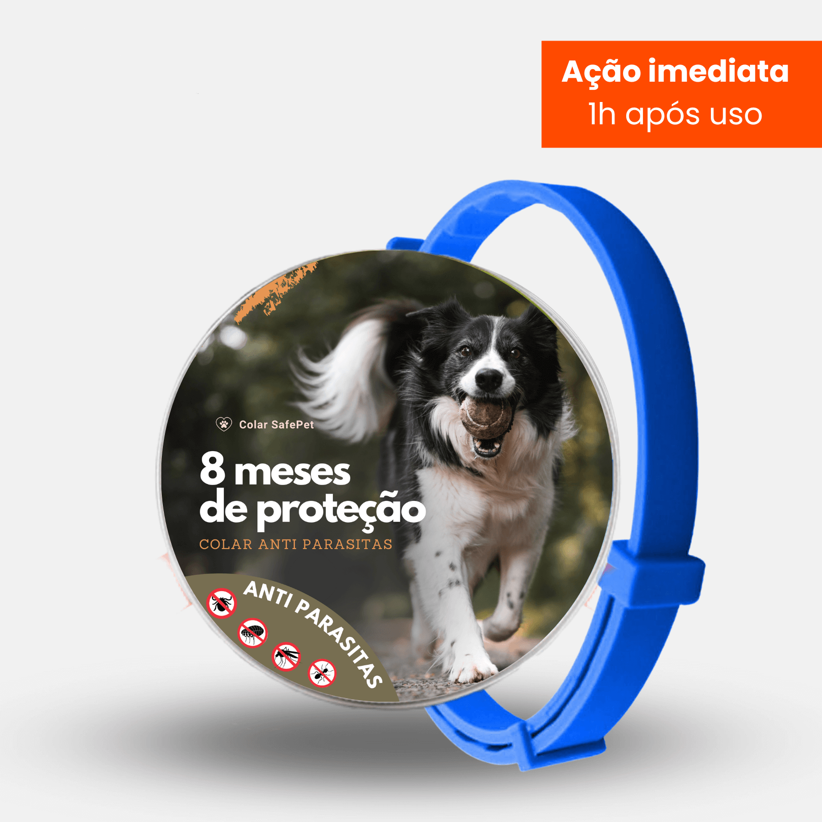 Anti-Flea and Tick Collar