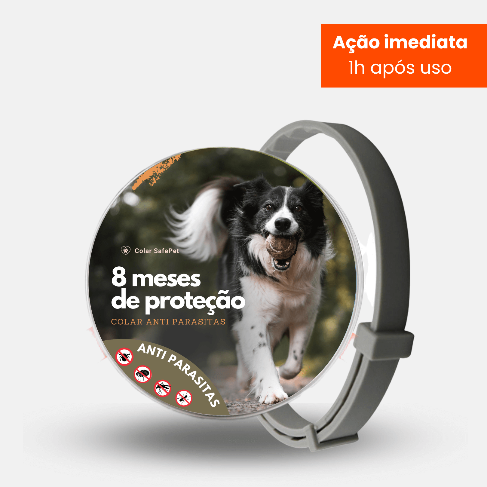 Anti-Flea and Tick Collar
