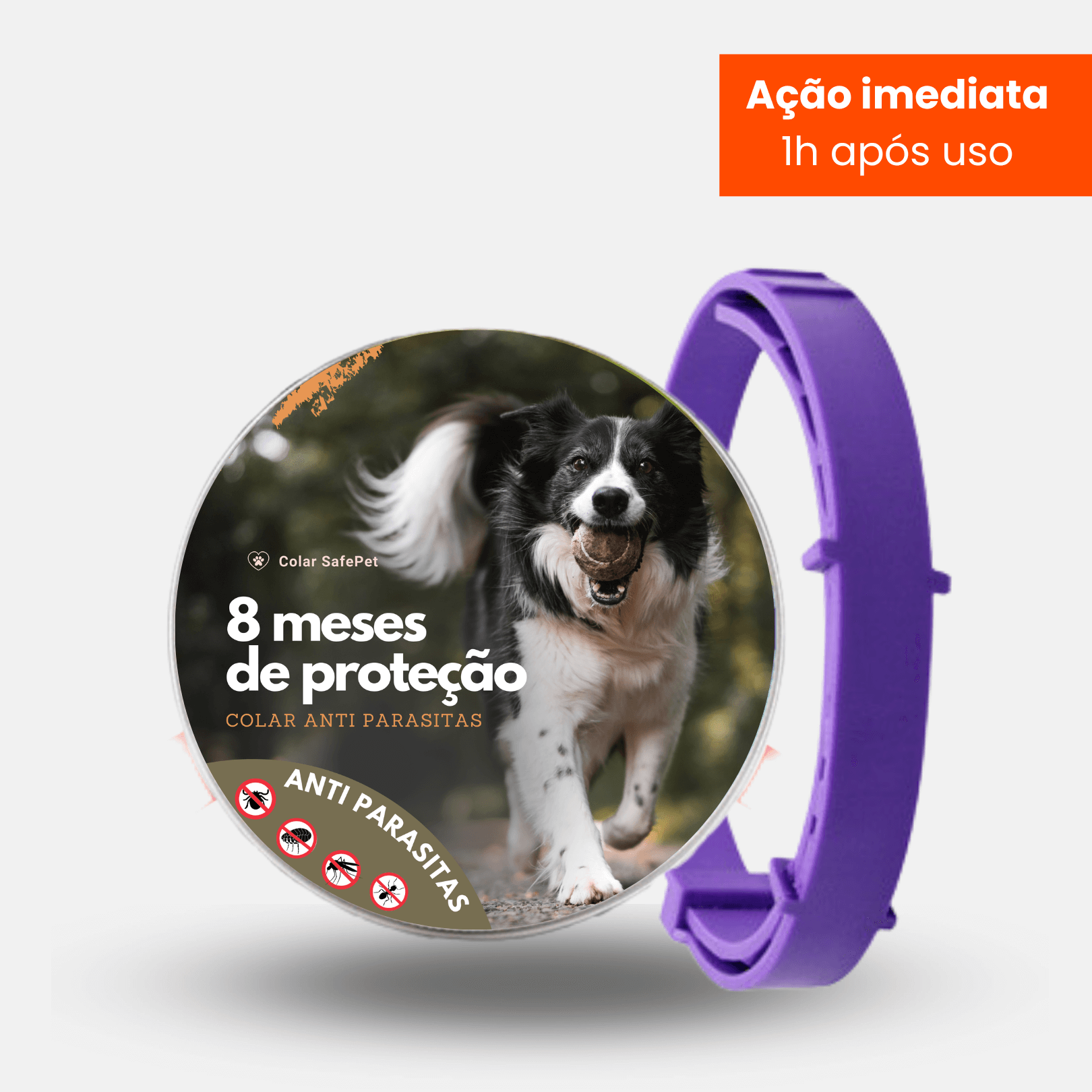 Anti-Flea and Tick Collar