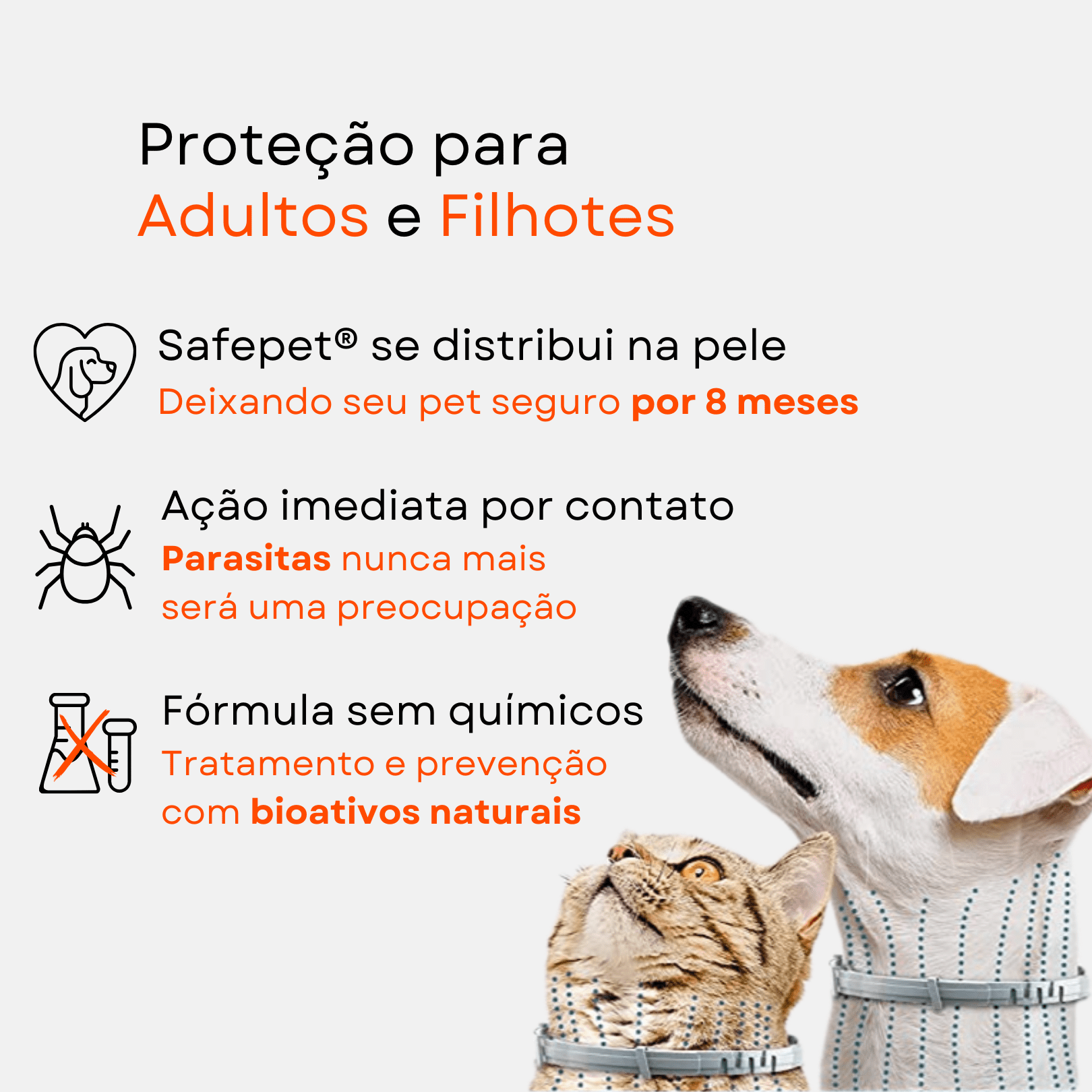 Anti-Flea and Tick Collar