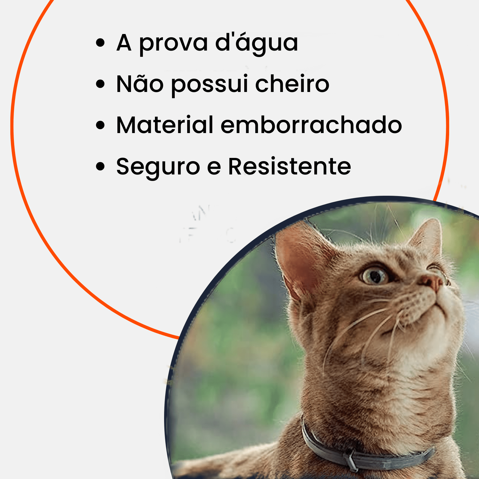 Anti-Flea and Tick Collar